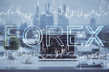 Çok sayıda şemaya, finansal bilgilere ve bilgisayar geçmişi olan çalışma alanına maruz kalmış. Uluslararası çevrimiçi ticaret kavramı.