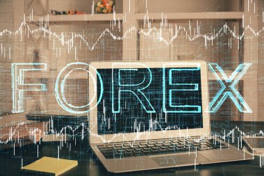 Çok sayıda şemaya, finansal bilgilere ve bilgisayar geçmişi olan çalışma alanına maruz kalmış. Uluslararası çevrimiçi ticaret kavramı.