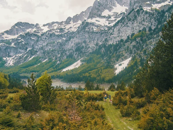 Montenegro Berglandschaft Und Blauer Himmel Schöne Natur — Stockfoto