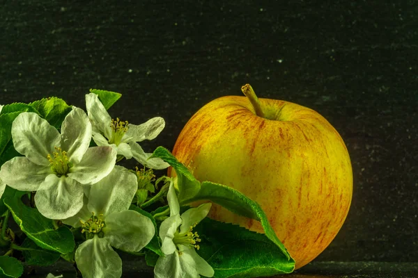 red yellow apple with white flowers and green leaves