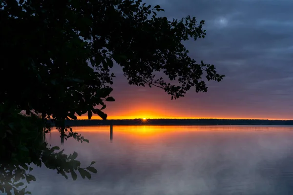 Wschód Słońca Nad Małym Jeziorem Wiosną Mgły Zieleń Drzew Romantyczny — Zdjęcie stockowe