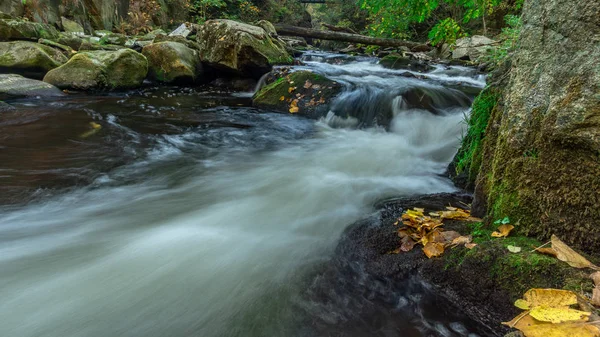 Cascada Con Hojas Coloridas Musgo Verde Otoño Alemania Valle Del — Foto de Stock