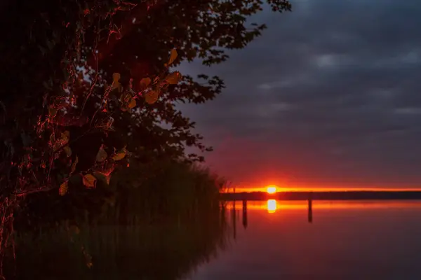 Sunrise Sunset Lake Blurred Background Green Leaves — ストック写真