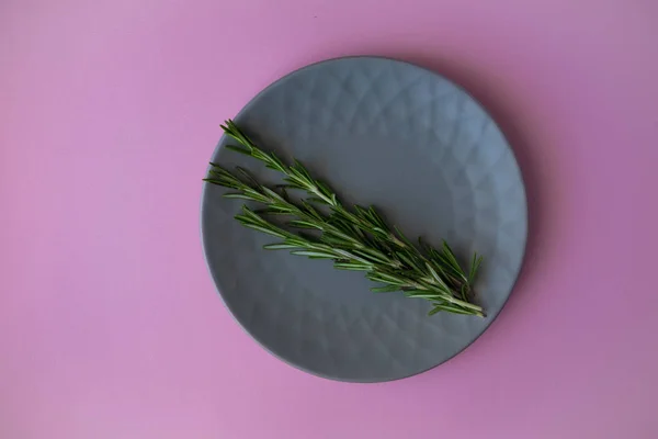 Fresh Rosemary Plate Pink Background — Stock Photo, Image