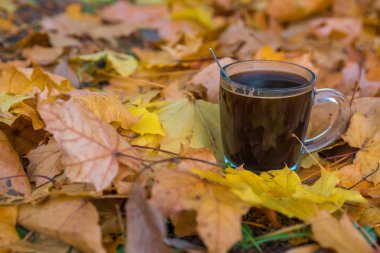 Saydam bir cam arasında sarı sonbahar yaprakları güzel kokulu kahve