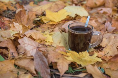 Saydam bir cam arasında sarı sonbahar yaprakları güzel kokulu kahve