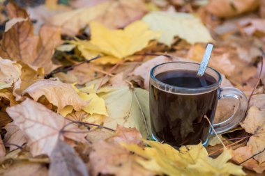 Saydam bir cam arasında sarı sonbahar yaprakları güzel kokulu kahve