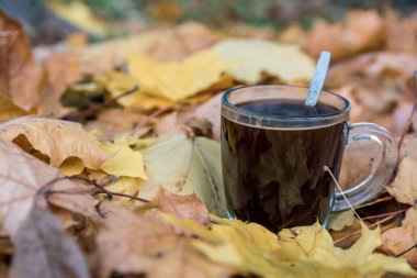 Saydam bir cam arasında sarı sonbahar yaprakları güzel kokulu kahve