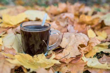 Saydam bir cam arasında sarı sonbahar yaprakları güzel kokulu kahve