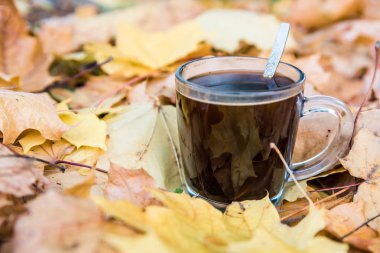 Saydam bir cam arasında sarı sonbahar yaprakları güzel kokulu kahve