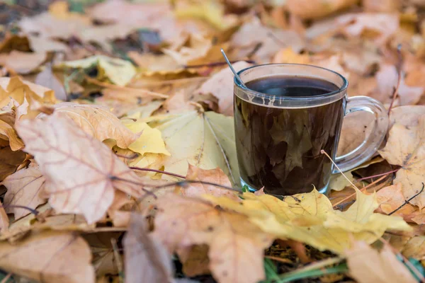 Kopp Väldoftande Kaffe Ett Genomskinligt Glas Mellan Gula Höstlöv — Stockfoto