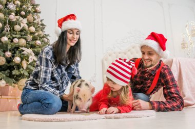 bir adamın annesi ve babasının kucağına bir ağaç ve küçük bir domuz ile şenlikli bir elbise içinde bir şömine yakın oturan küçük bir kızı Genç Sevimli gülümseyen aile