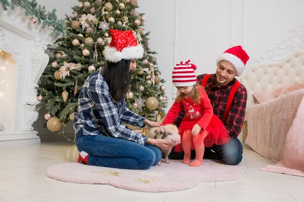 young cute smiling family from a man\'s mother and a little daughter sitting on her father\'s lap near a tree and a fireplace in a festive dress with a little pig
