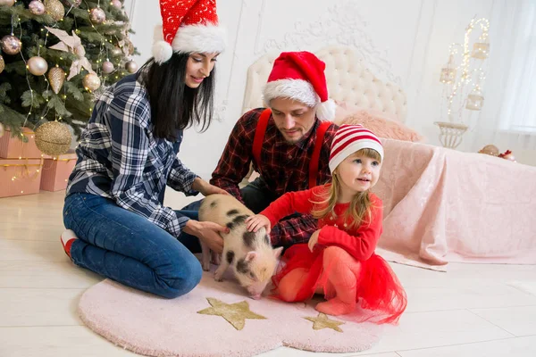 young cute smiling family from a man\'s mother and a little daughter sitting on her father\'s lap near a tree and a fireplace in a festive dress with a little pig