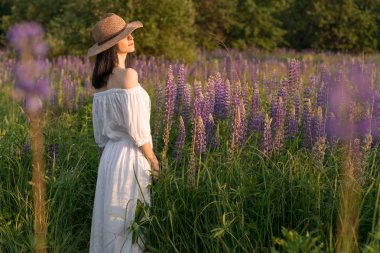Genç çok seksi bir kadının Kızıl hasır şapka ve uzun beyaz bir elbise kız ayakta günbatımında lupine sahada