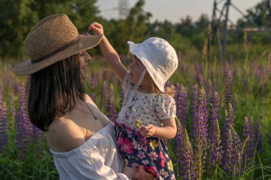 ellerinin üzerinde oturan ve lupine sahada oldukları bir hafif kahverengi hasır şapka ve beyaz elbise olan genç bir kadının zevk küçük ışık kız