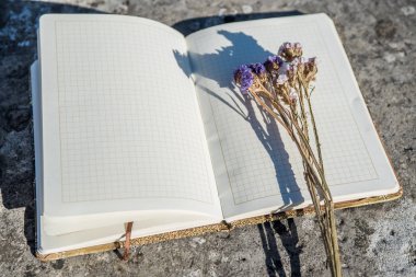 sarı ve mor çiçekler ve bir kalem taş yüzeylerde temiz sayfalar ile bir dizüstü bilgisayar üzerinde yatan