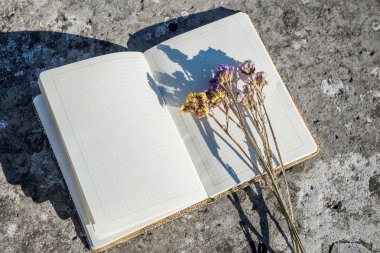 sarı ve mor çiçekler ve bir kalem taş yüzeylerde temiz sayfalar ile bir dizüstü bilgisayar üzerinde yatan