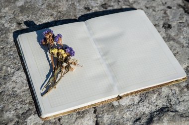 Not defteri, basit kalem, kalem, düz, arka plan, kağıt, tasarım, çiçek, uzay, Masaüstü, Resepsiyon, kopya, günlüğü, tablo, beyaz, iş, bahar, üst, pembe, boş, office, yaz, öğeleri, dizüstü bilgisayar, çiçek, mavi, yatıyordu, görünümü, buket, yalan, dekorasyon, tatil