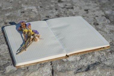 Not defteri, basit kalem, kalem, düz, arka plan, kağıt, tasarım, çiçek, uzay, Masaüstü, Resepsiyon, kopya, günlüğü, tablo, beyaz, iş, bahar, üst, pembe, boş, office, yaz, öğeleri, dizüstü bilgisayar, çiçek, mavi, yatıyordu, görünümü, buket, yalan, dekorasyon, tatil