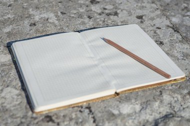 Not defteri, basit kalem, kalem, düz, arka plan, kağıt, tasarım, çiçek, uzay, Masaüstü, Resepsiyon, kopya, günlüğü, tablo, beyaz, iş, bahar, üst, pembe, boş, office, yaz, öğeleri, dizüstü bilgisayar, çiçek, mavi, yatıyordu, görünümü, buket, yalan, dekorasyon, tatil