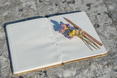 Not defteri, basit kalem, kalem, düz, arka plan, kağıt, tasarım, çiçek, uzay, Masaüstü, Resepsiyon, kopya, günlüğü, tablo, beyaz, iş, bahar, üst, pembe, boş, office, yaz, öğeleri, dizüstü bilgisayar, çiçek, mavi, yatıyordu, görünümü, buket, yalan, dekorasyon, tatil