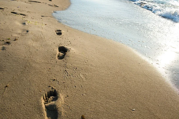 在海边潮湿的沙滩上留下足迹 — 图库照片