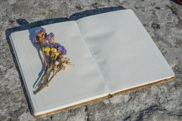 Not defteri, basit kalem, kalem, düz, arka plan, kağıt, tasarım, çiçek, uzay, Masaüstü, Resepsiyon, kopya, günlüğü, tablo, beyaz, iş, bahar, üst, pembe, boş, office, yaz, öğeleri, dizüstü bilgisayar, çiçek, mavi, yatıyordu, görünümü, buket, yalan, dekorasyon, tatil