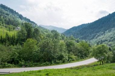 dağlar pahalı orman vardır