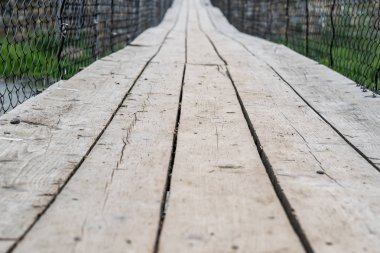 Ağaç ahşap doku, Eko-ağaç