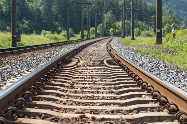 railroad canvas, railway track, mountain bumps, mountains forest, trees, railroad tracks in the mountains