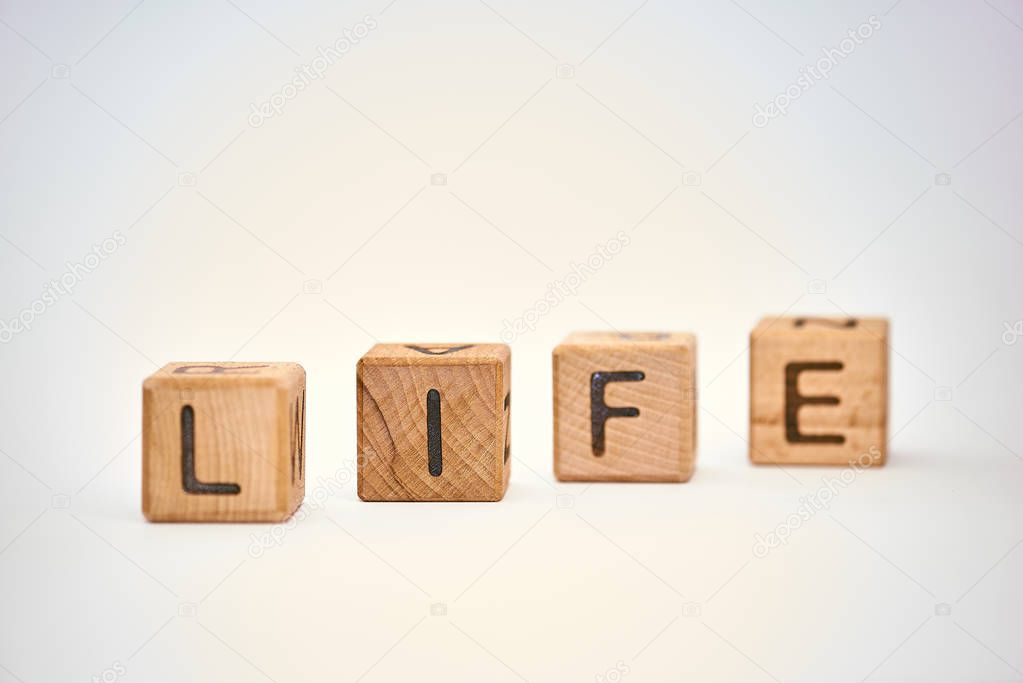 wooden cubes on a white background and the word laid down life