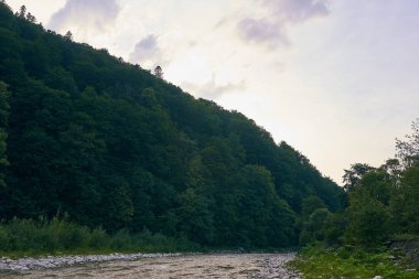 dağ nehir, dağlar, doğa, yeşil ormanlar ve hafifçe mavi gökyüzü