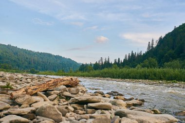 dağ nehir, dağlar, doğa, yeşil ormanlar ve hafifçe mavi gökyüzü