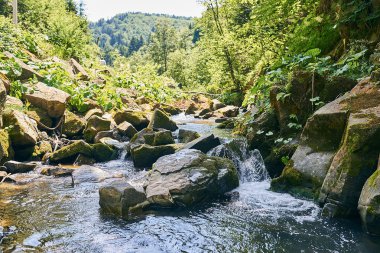dağ nehir, dağlar, doğa, yeşil ormanlar ve hafifçe mavi gökyüzü