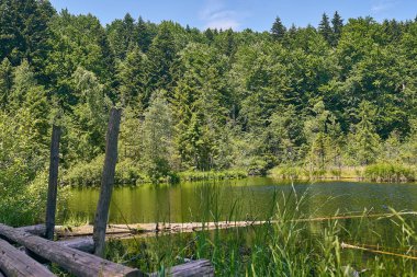 dağ nehir, dağlar, doğa, yeşil ormanlar ve hafifçe mavi gökyüzü