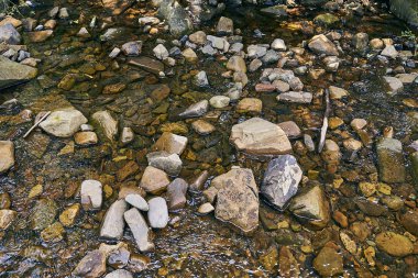 dağ nehir, dağlar, doğa, yeşil ormanlar ve hafifçe mavi gökyüzü