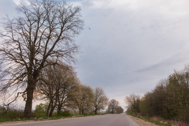 bahar sabah gündoğumu hangi ağacın kenarlarında bir yoldur