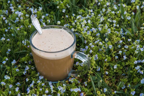 Transparent Morgue Med Mjölk Kaffe Drink Med Tesked Grönt Gräs — Stockfoto