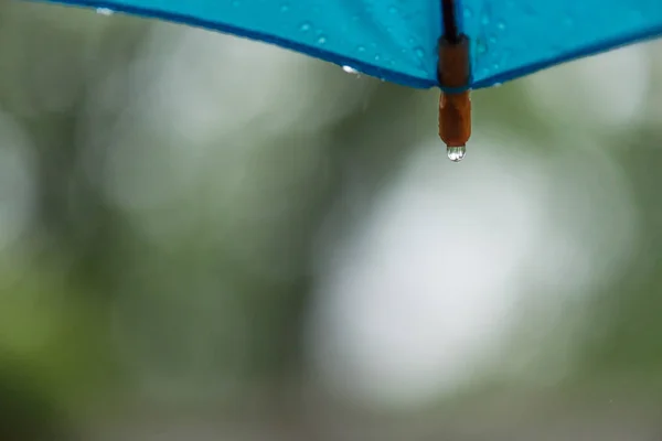 Gouttes Pluie Sur Parapluie Bleu Printemps — Photo