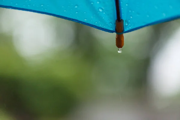 Rain Drops Blue Umbrella Spring — Stock Photo, Image