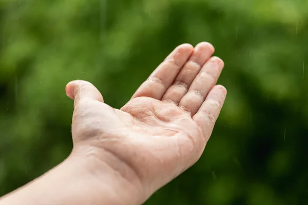 Palm hands with water splash. Nature raindrop, environmental and freshness concept.