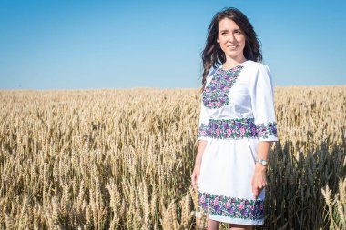 Genç, güzel, güzel bir kız Ukrayna halkının geleneksel parlak kostümlü altın buğday tarlasında.