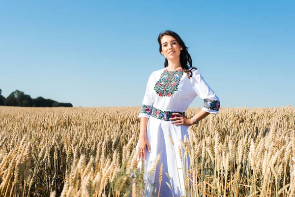 Uma Menina Jovem Bonita Bonita Traje Brilhante Tradicional Ucraniano Campo — Fotografia de Stock