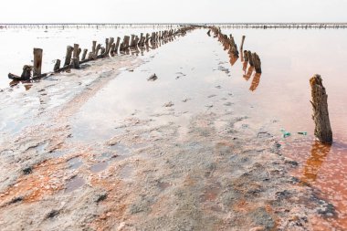 Gül tuzu gölü Sivash üretimi, tuz ve terapi çamuru. Ukrayna Kherson bölgesi.