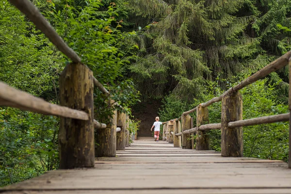 a child with his back turned walks on a wooden bridge around a green tree