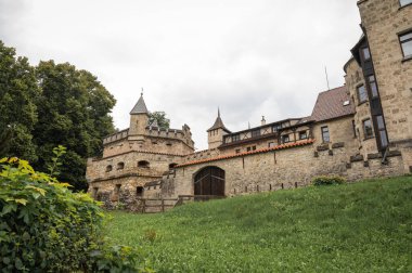 Esrarengiz bir siyah beyaz fotoğraf dokulu bir kayanın üzerindeki eğreltiotu gölgesi, karmaşık detaylar ve dramatik bir ışık oyunu gösteriyor. Sanatsal ve botanik projeler için mükemmel
