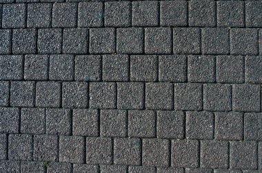 Sakin bir orman yolu, yüksek ağaçlar ve yemyeşil eğreltiotları olan sık bir ormanın içinden esiyor. Güneş ışığı gölgelikten süzülür,