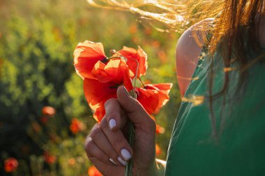 Doğanın güzelliğini ve zarafetini sembolize eden, altın saat ışığında dalgalı yeşil bir elbiseye karşı canlı kırmızı gelincik çiçekleri tutan elin yakın çekimi.
