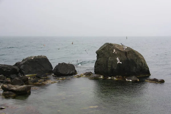 Paysage Marin Devant Orage — Photo